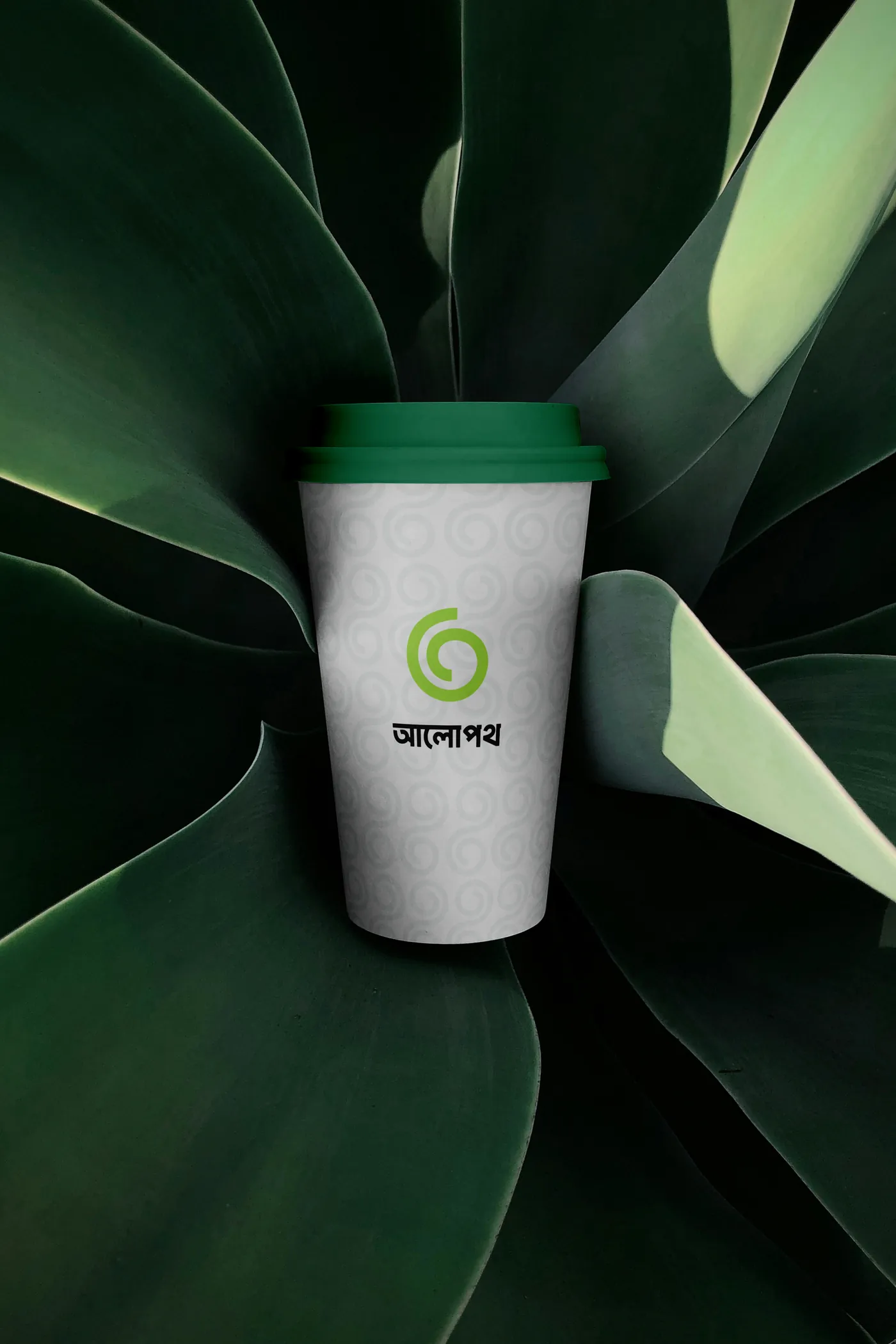 Alopoth cup