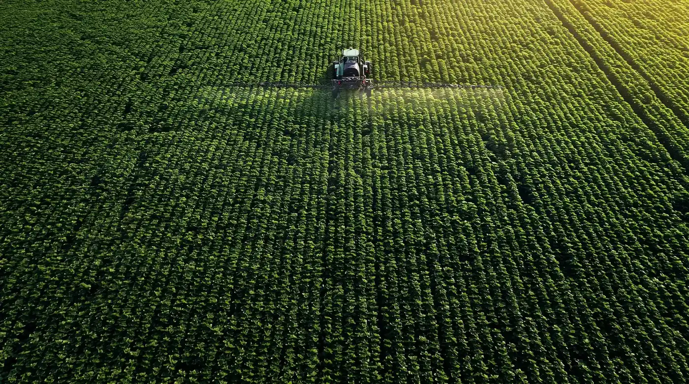 Malik Seeds agricultural farmland for Origene safe food brand