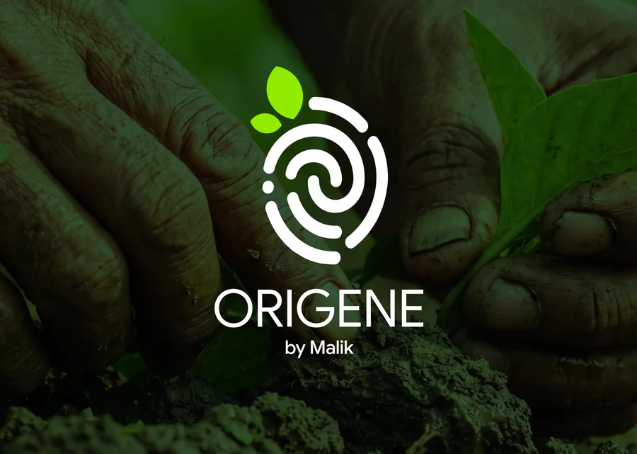 Origene brand identity case study cover
