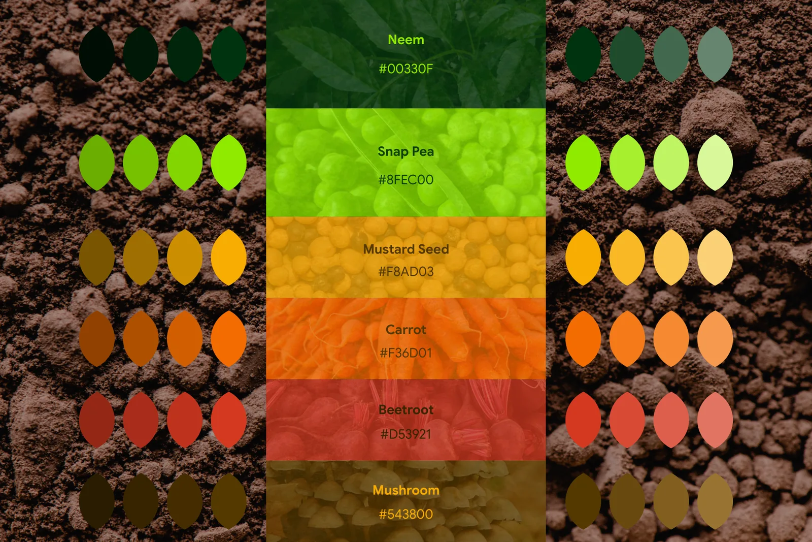 The six Origene colours with their shades and tints over soil