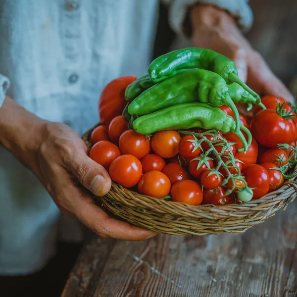 A basket of tomatoes and chillies