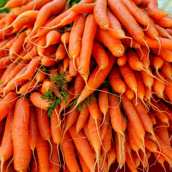 Fresh carrots