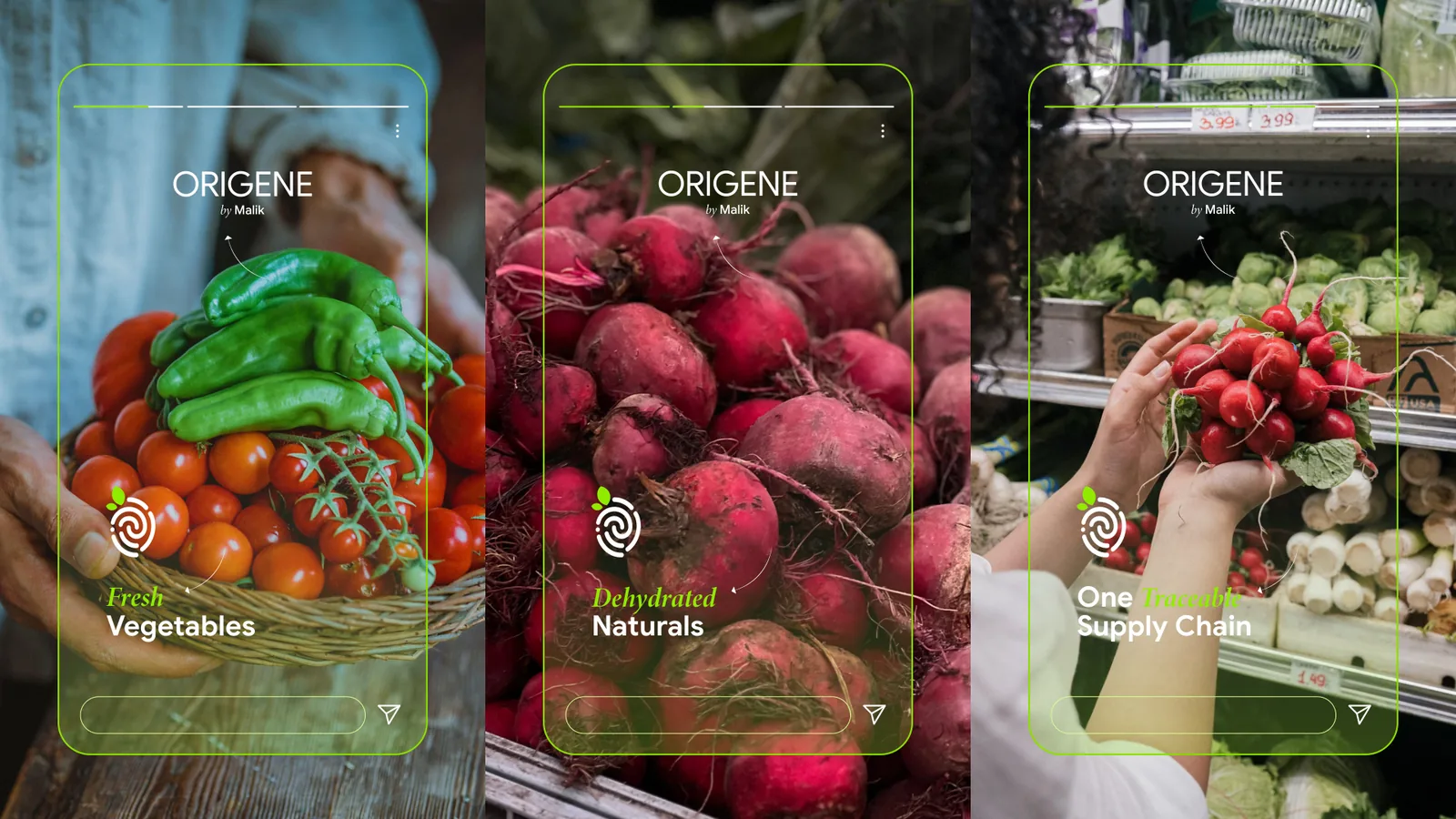Origene Instagram story templates